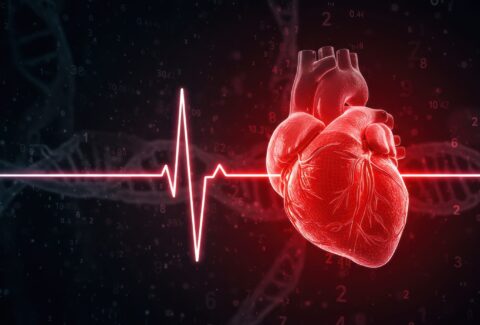 Heart Disease Reversal Diet