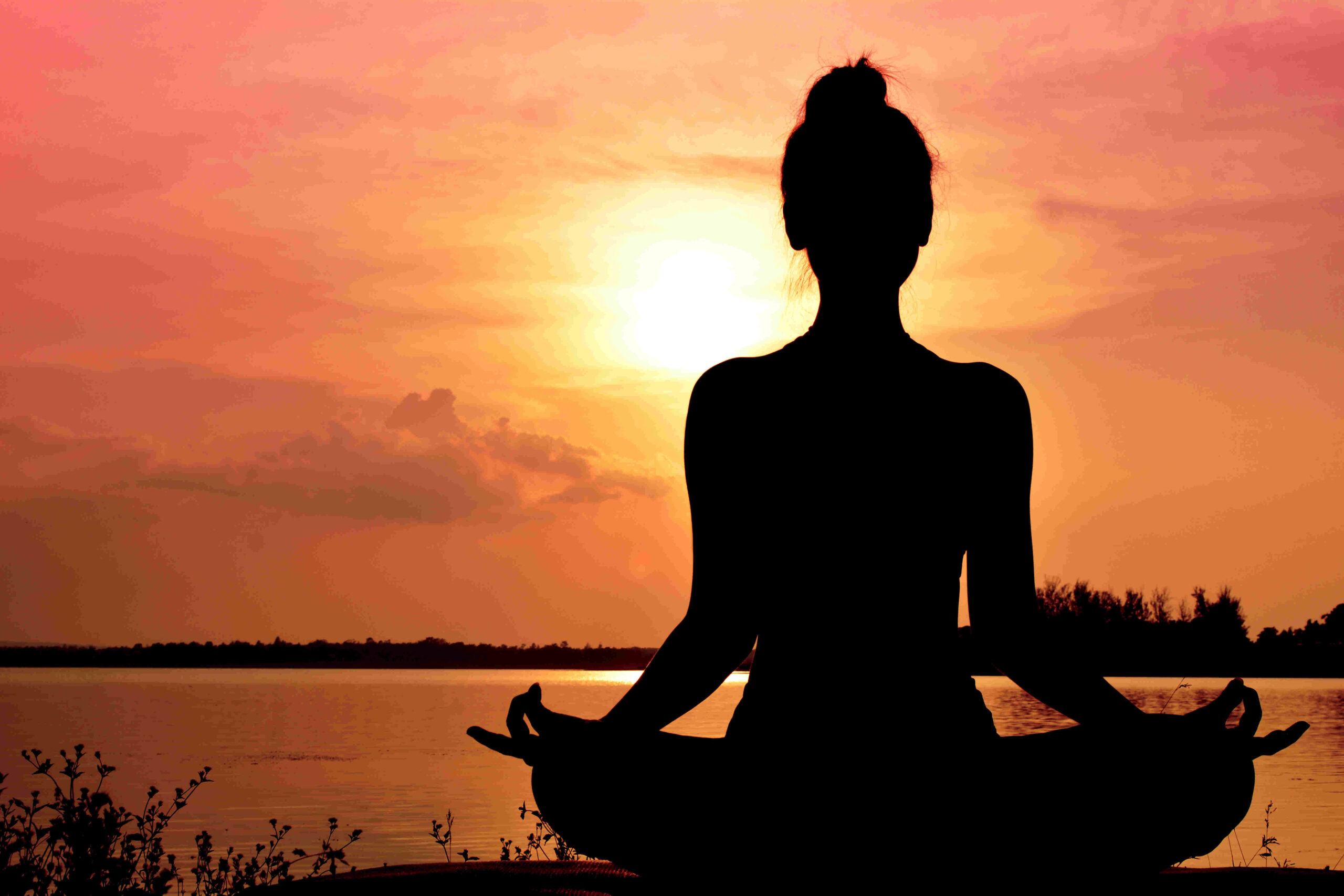 Mindfulness and Meditation