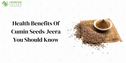 11+ Health Benefits Of Cumin Seeds - Jeera You Should Know - cover