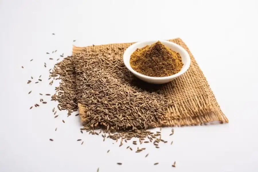 Cumin Seeds in Detail