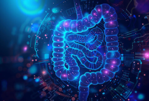 Gut Health 