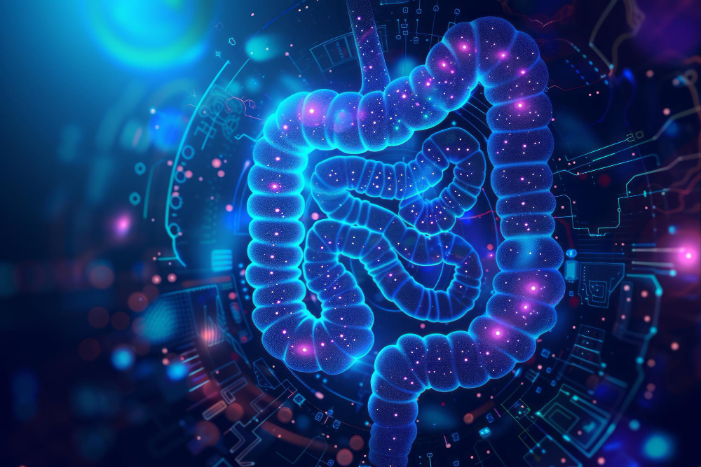 Gut Health 