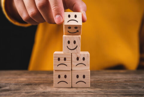 Emotional Wellness Program