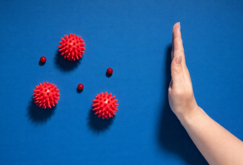 Prevent Chronic Disease