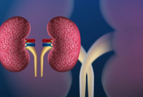 Kidney Disease