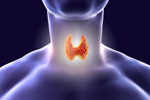 Thyroid Reversal