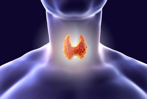 Thyroid Reversal