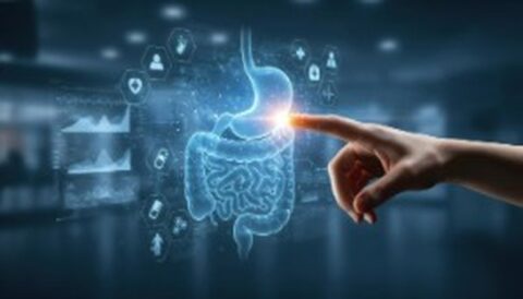 Gut Health Treatment