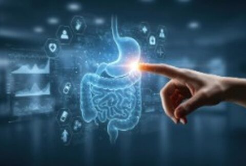 Gut Health Treatment