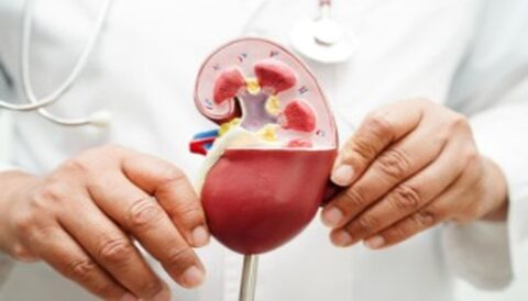 stopping kidney disease