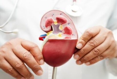 stopping kidney disease