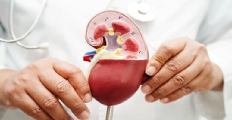 stopping kidney disease