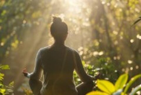 stress relief programs