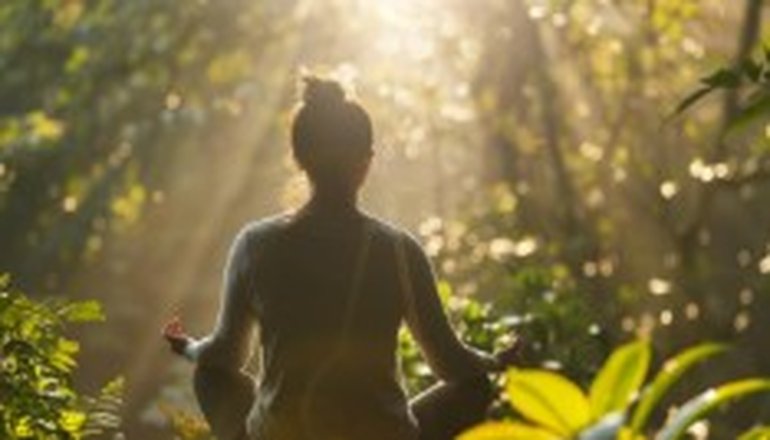 stress relief programs