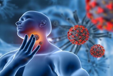 Thyroid Reversal Program