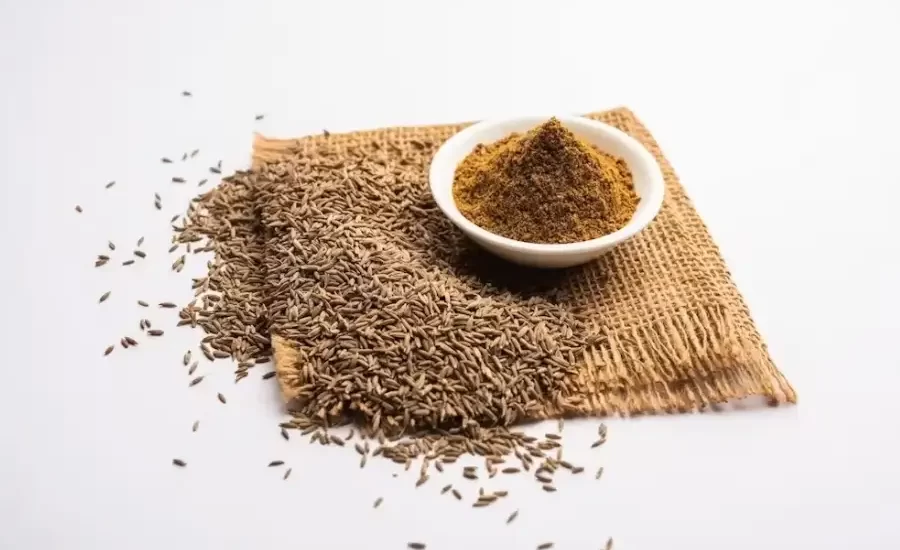 Cumin Seeds in Detail