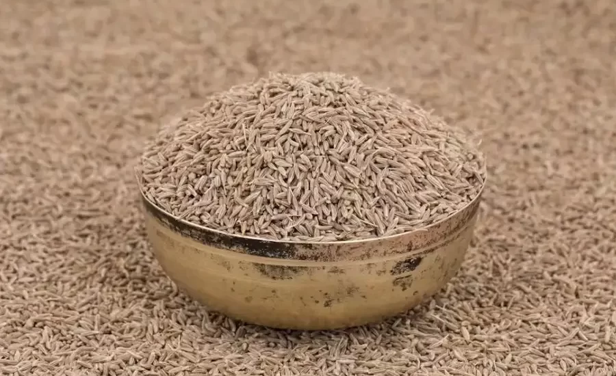 Cumin Seeds